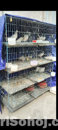 খাঁচা বিক্রি হবে cage khasa